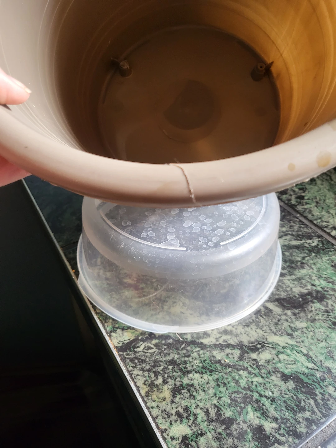 Tan Plastic Plant Pot
