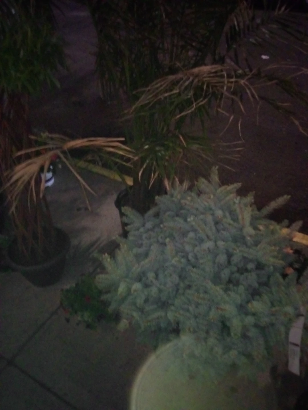 Artificial Christmas Tree