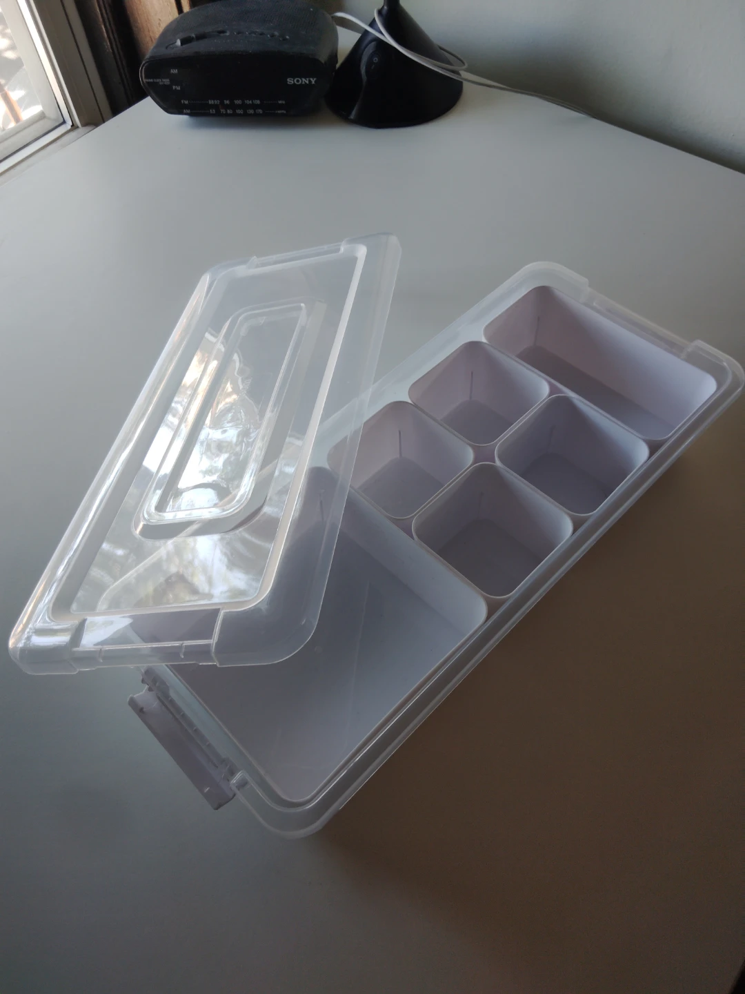 Container organizer