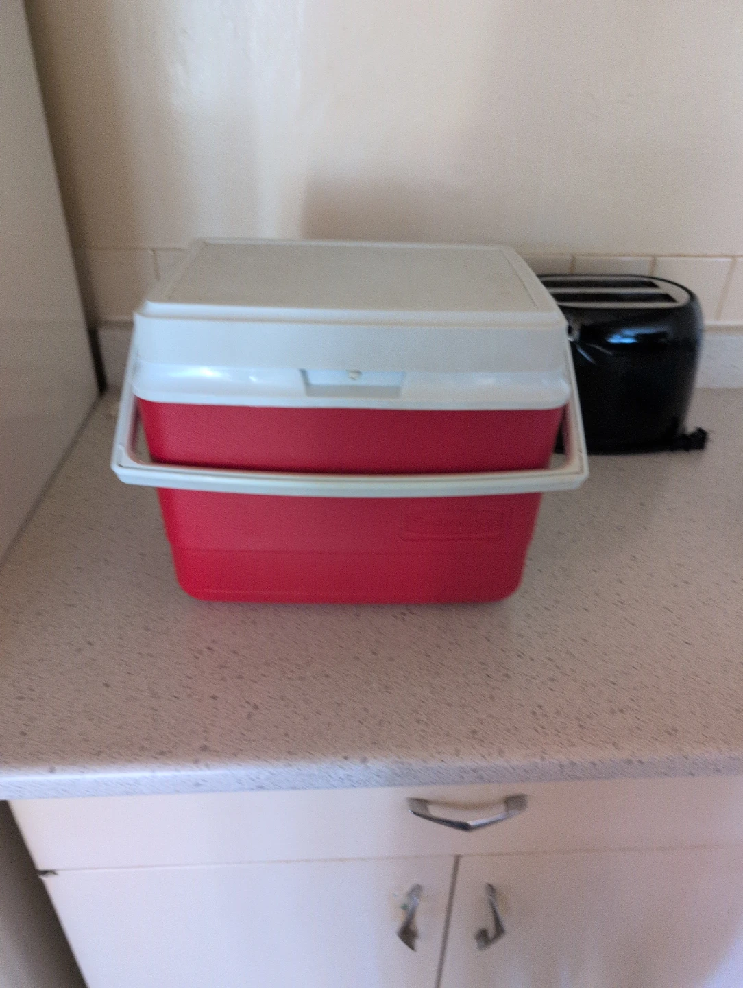 Red and White Cooler with Ice Packs