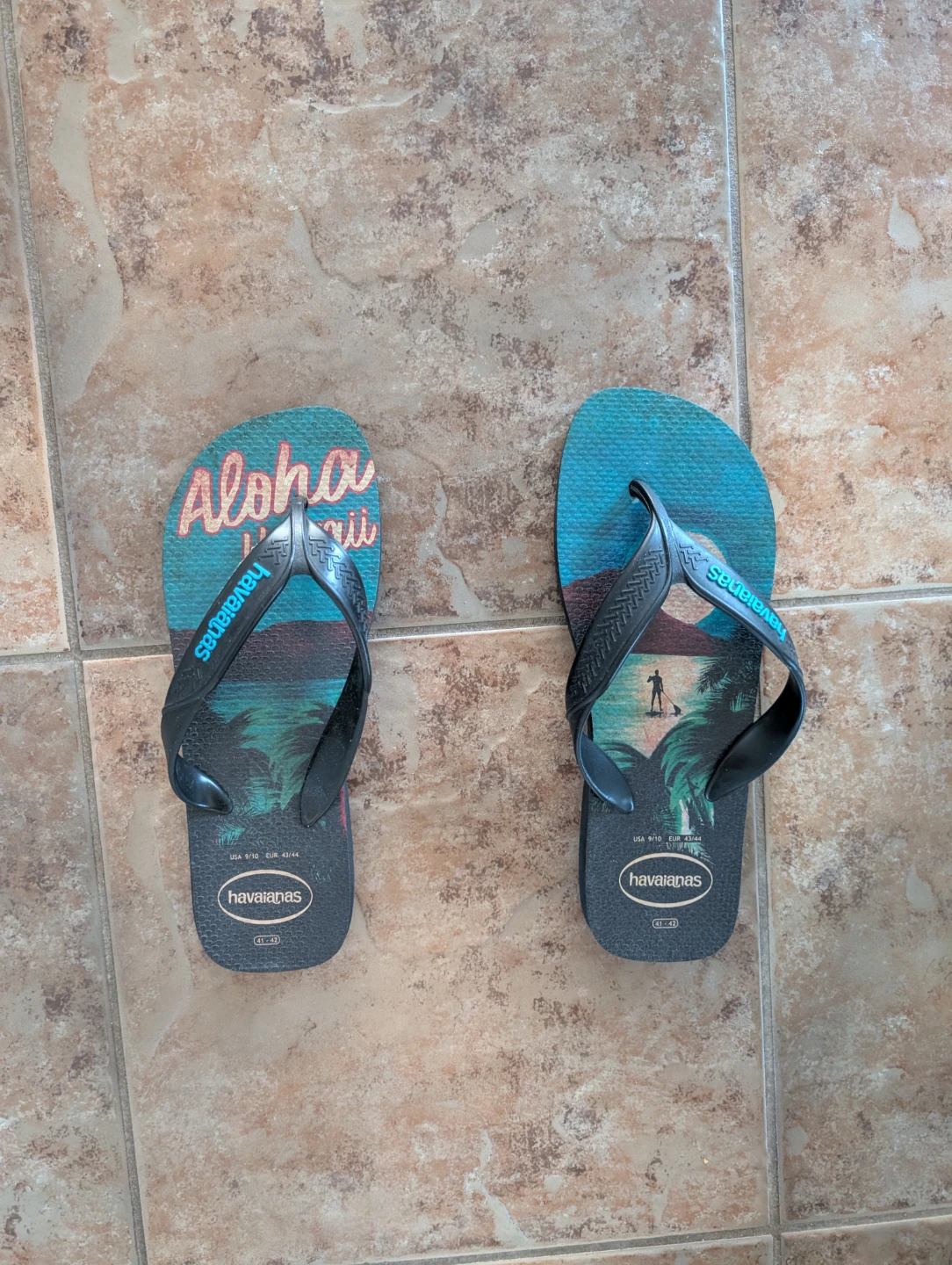 Havaianas Flip Flops - Size 7/8 (US Women's)