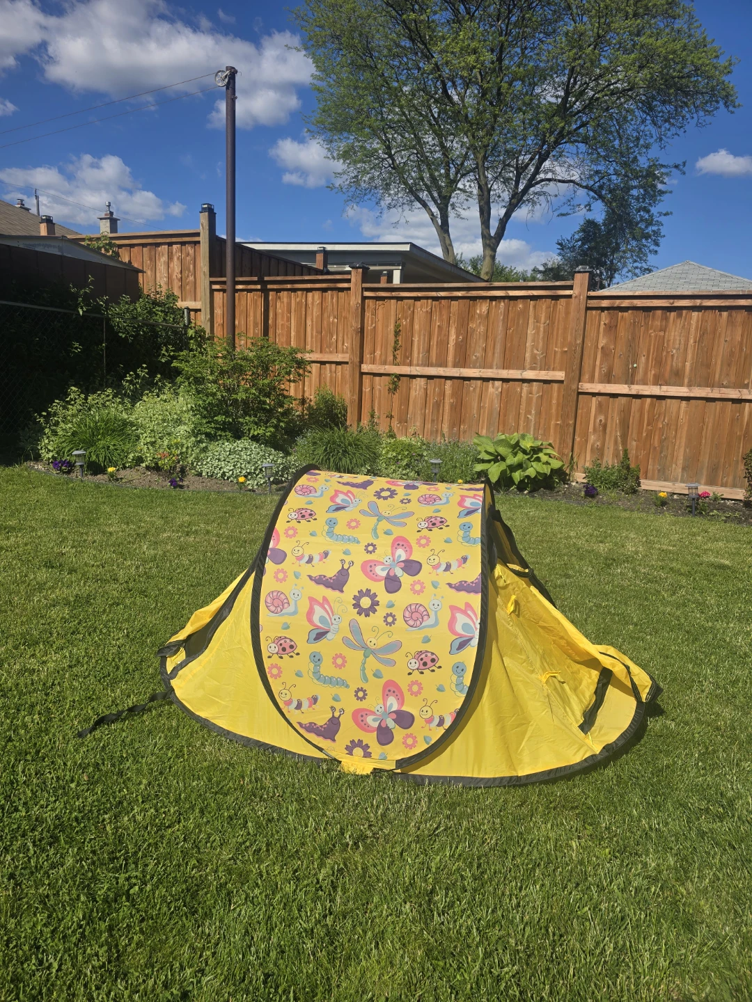 Kids Pop-Up Tent ⛺️