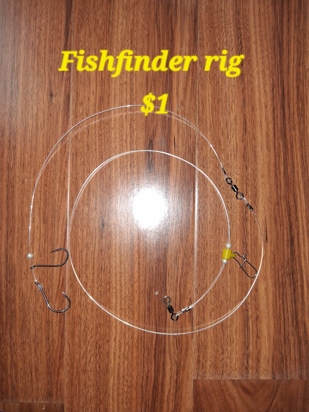 Fishfinder Rig - photo 2