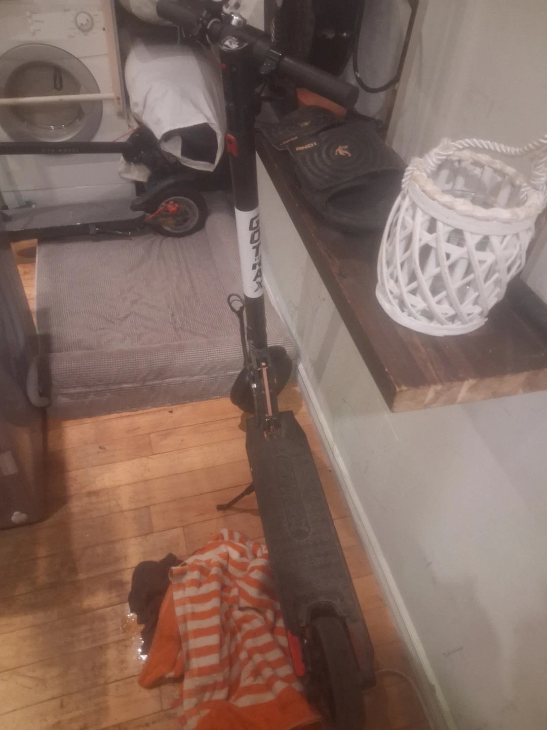 GOTRAX Electric Scooter