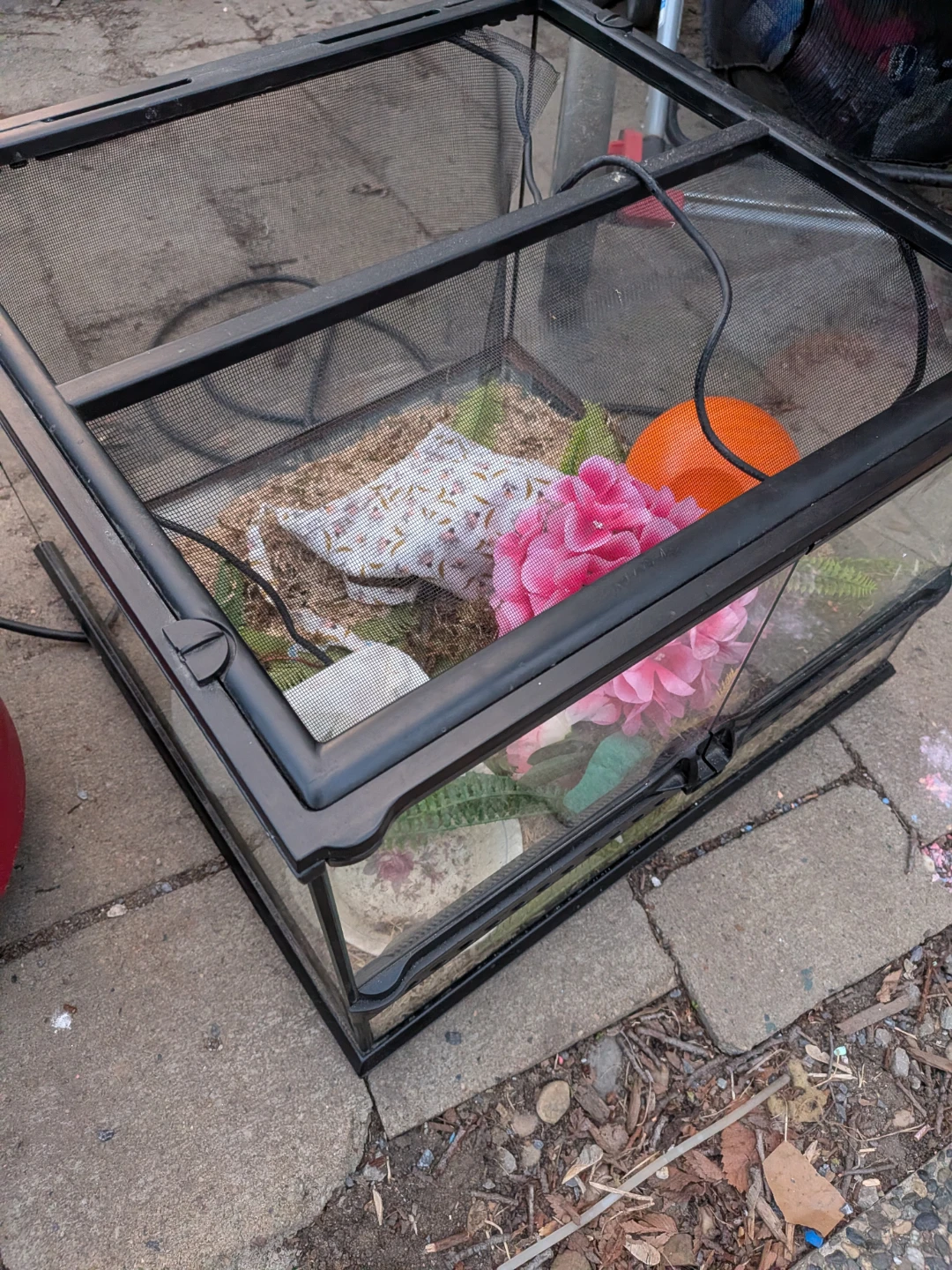 Terrarium Tanks