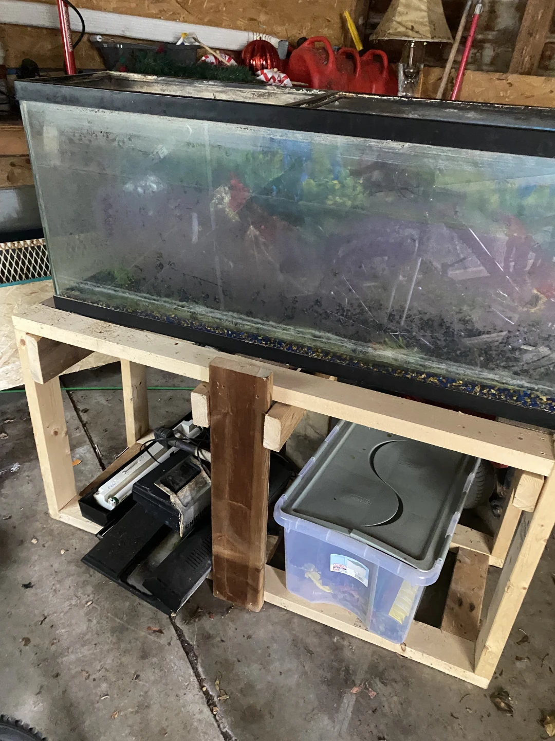 125 gallon aquarium
