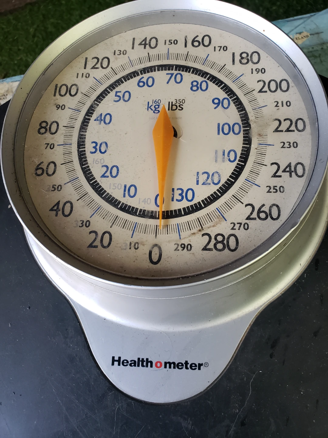 Health o meter Dial Scale - photo 2