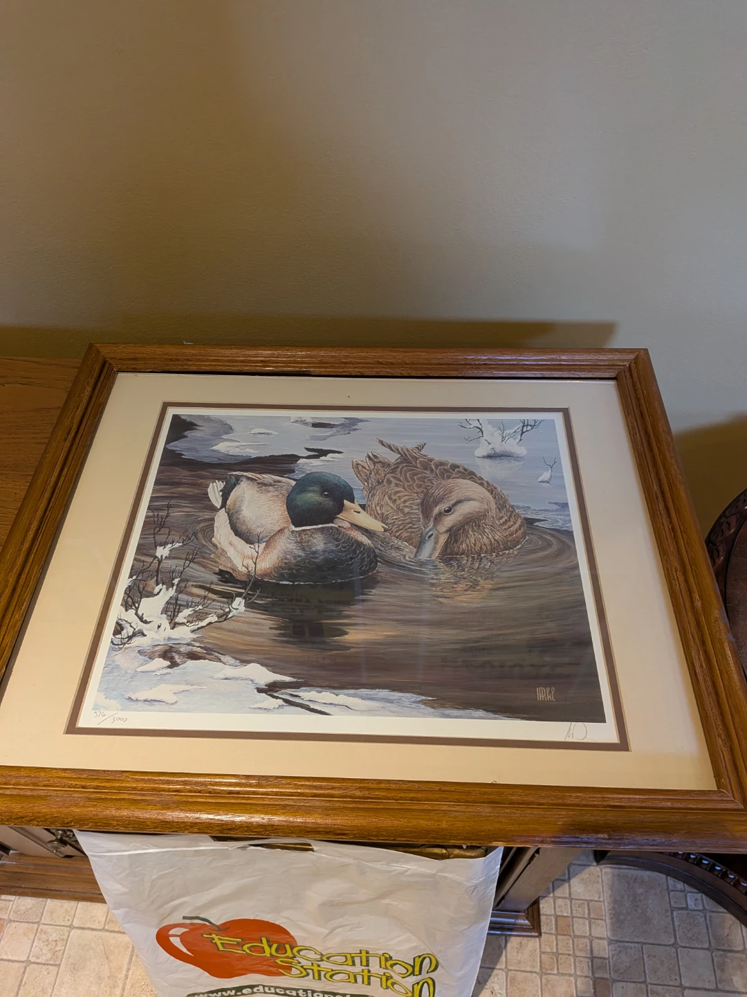 Framed Duck Art Print by R.R. HarR