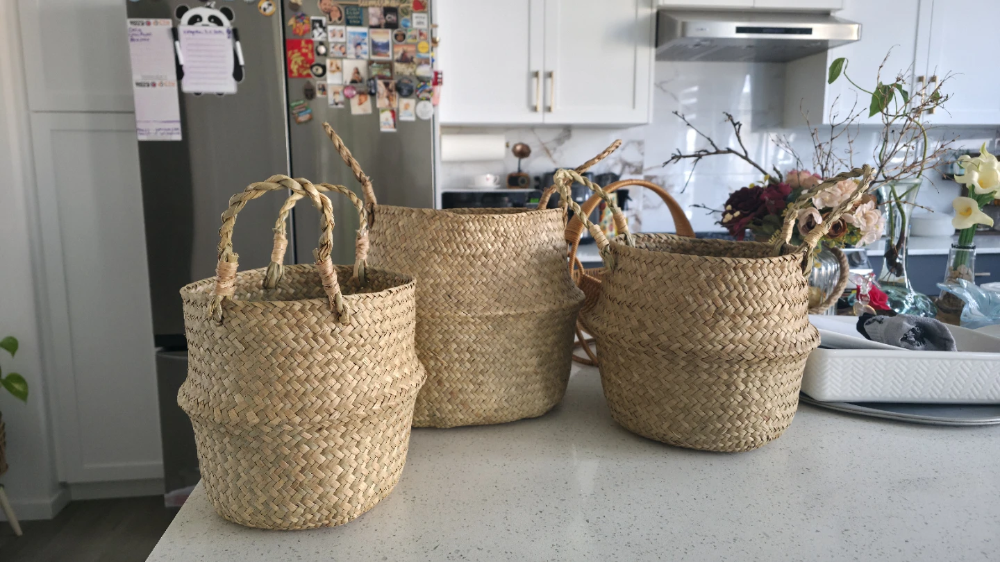Plant Baskets Set of 3 Seagrass Woven Belly Baskets