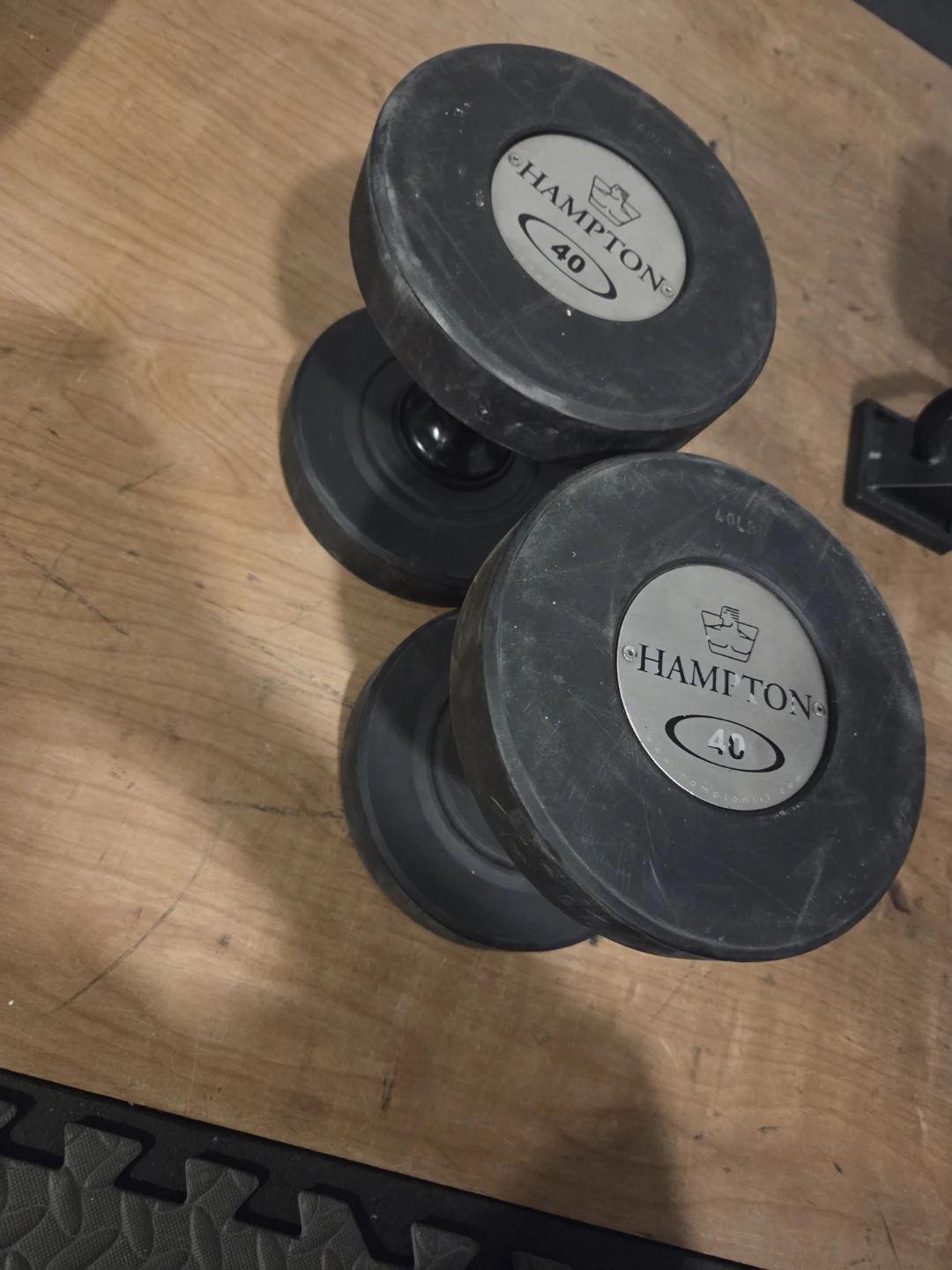 Hampton 40 lb Dumbbells (Pair)