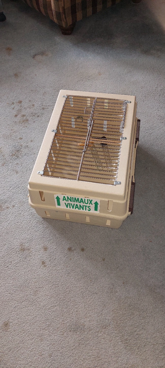 Pet carriers - photo 2