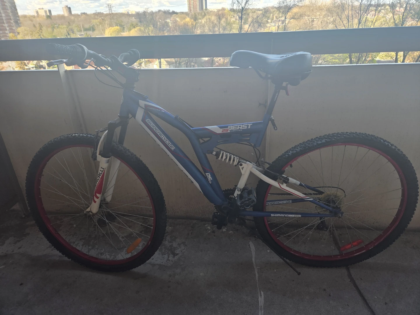 Supercycle Beast Mountain Bike