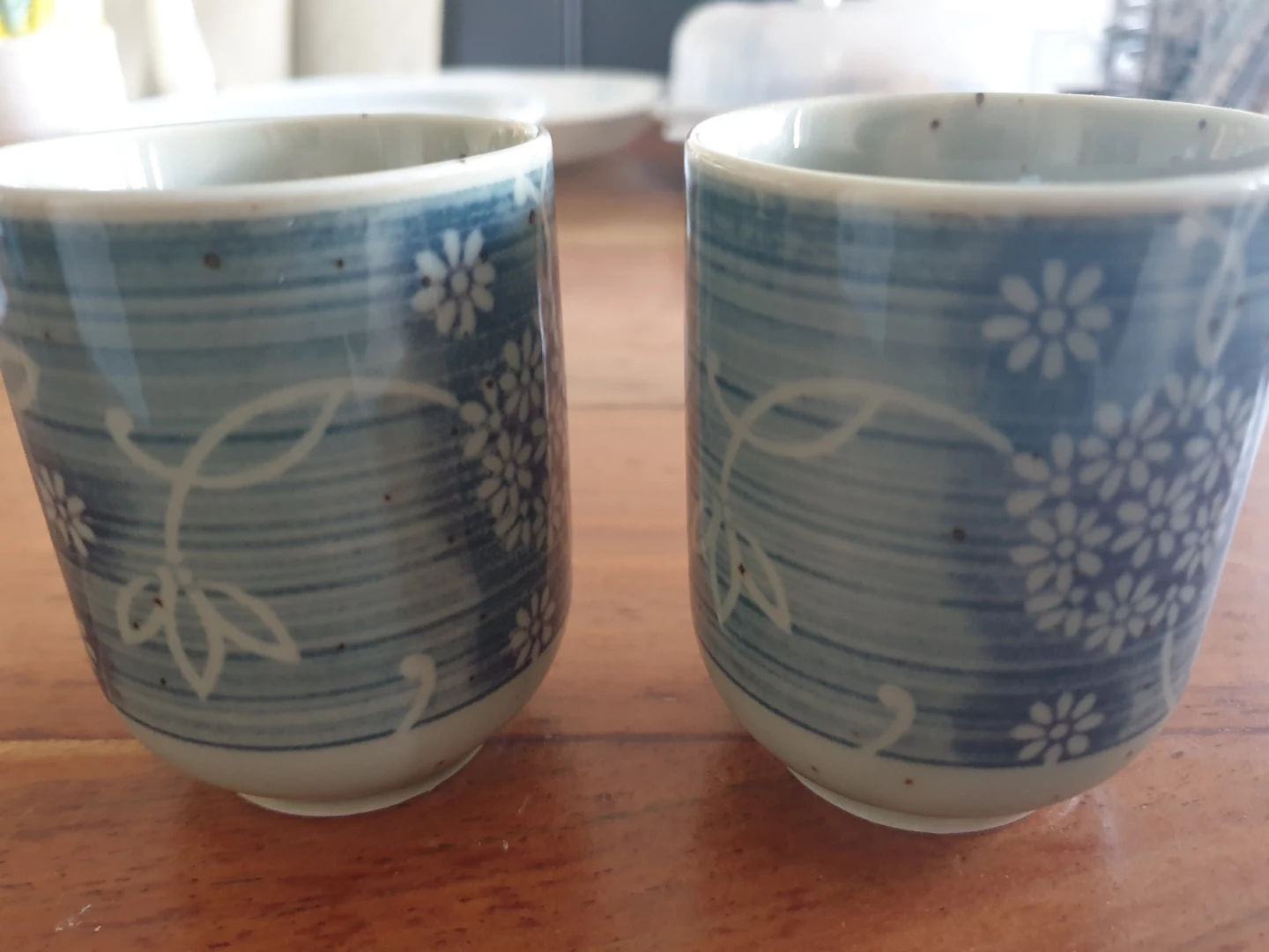 Set of 2 Blue and White Ceramic Tea Cups