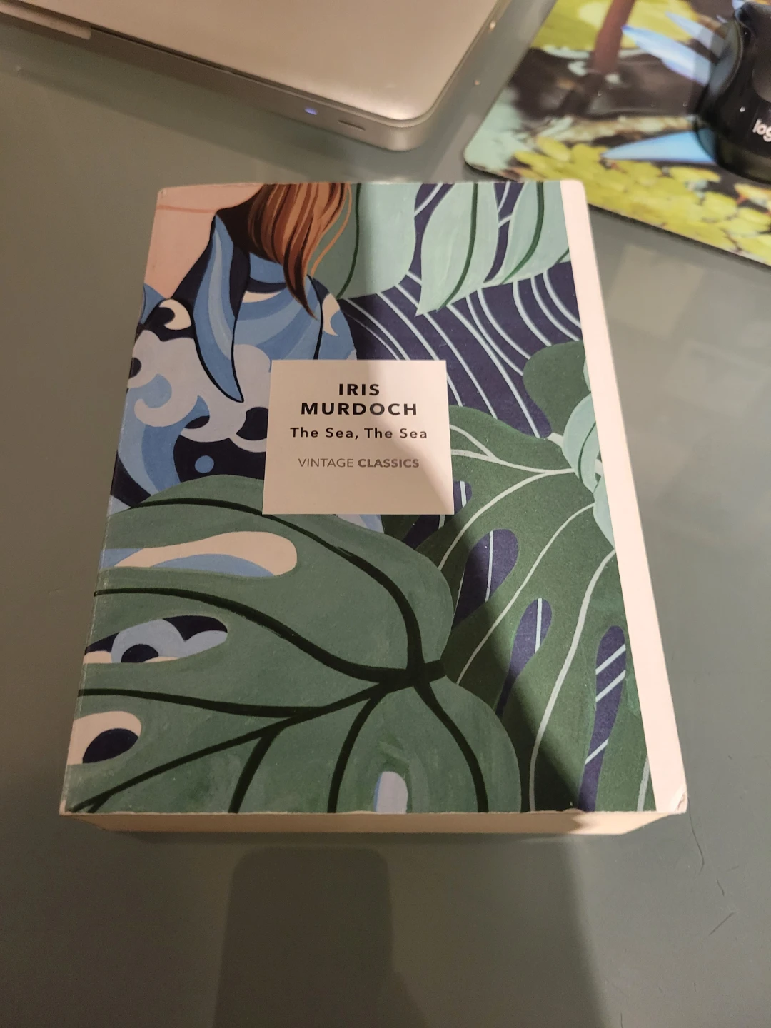 The Sea The Sea by Iris Murdoch book