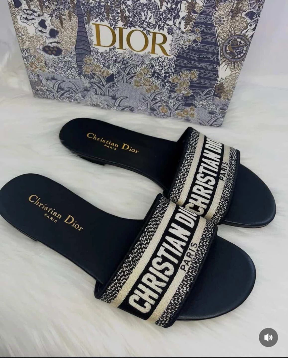Dior slippers