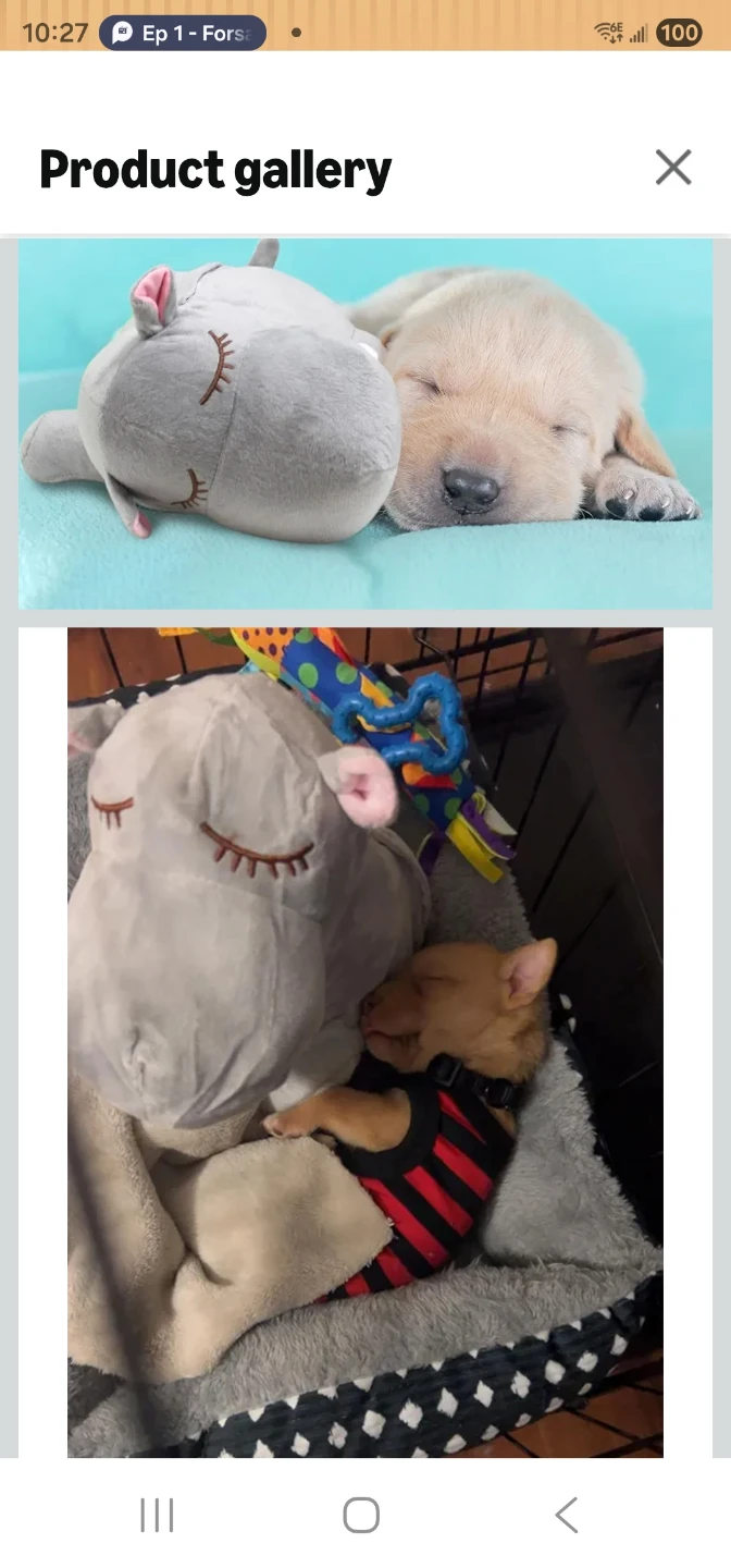 3T GROUP Heartbeat Puppy Toy for Dogs - Comfort Plush Hippo