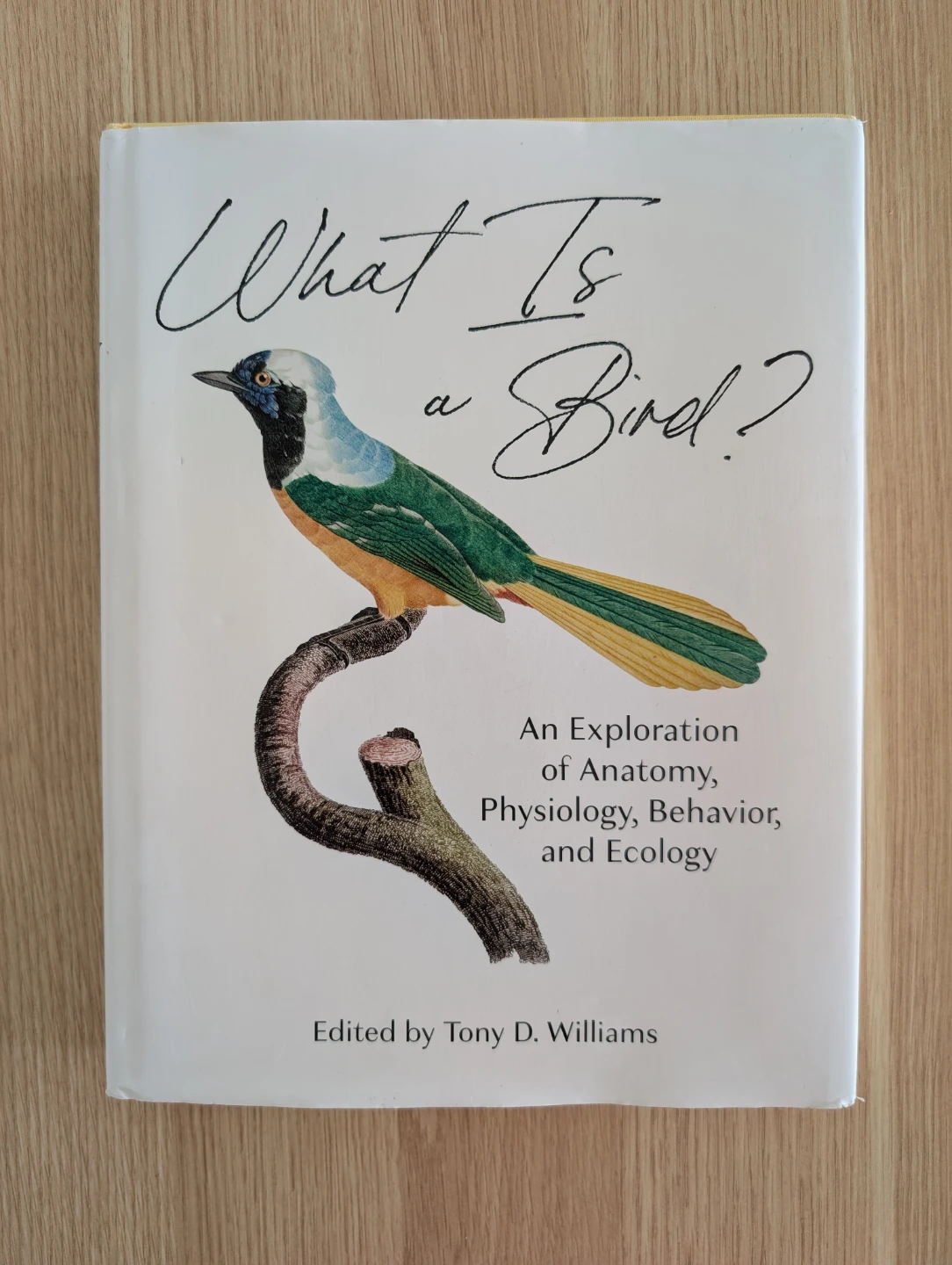 What Is a Bird? Anatomy, Physiology, Behavior, and Ecology book