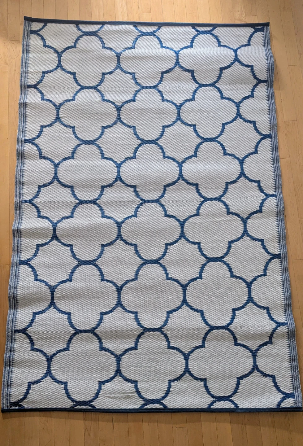 Blue and White Outdoor Mat/Rug - photo 2