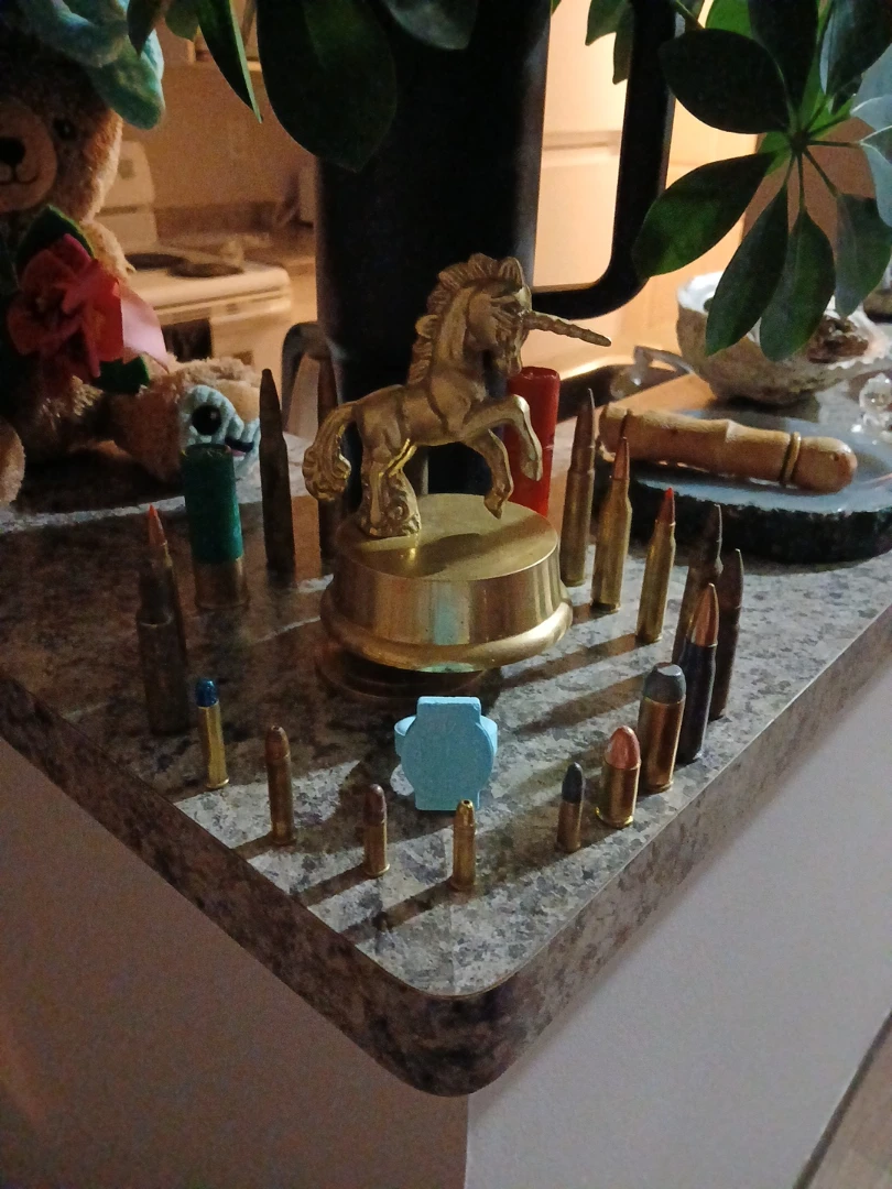 Assorted Ammunition Display