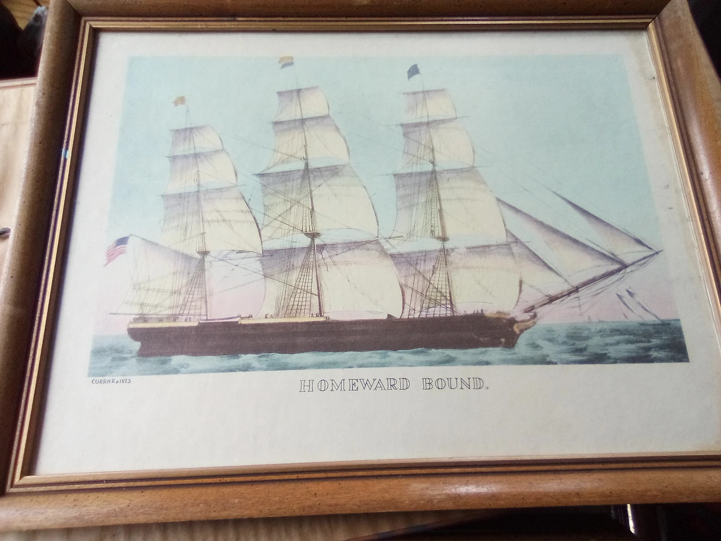 Homeward Bound Framed Print