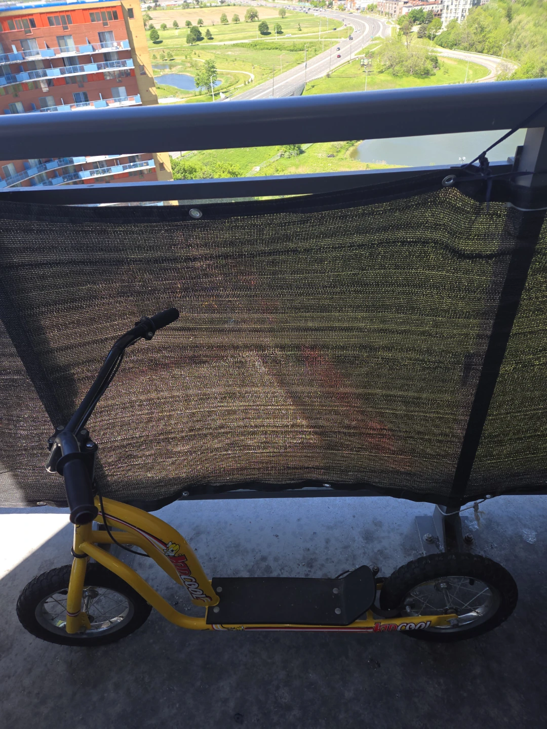 Cool kid scooter