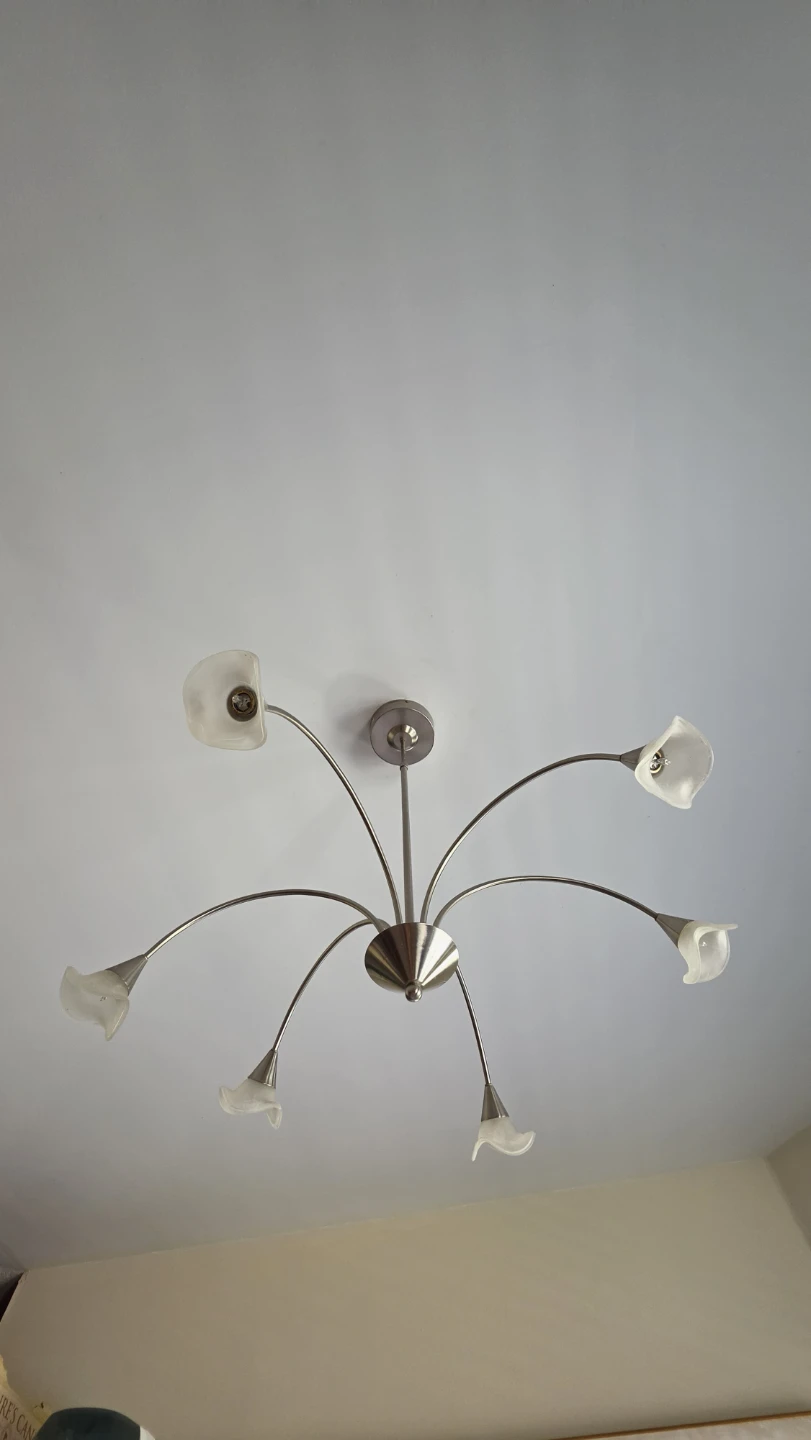 6-Light Chandelier Ceiling Light Fixture