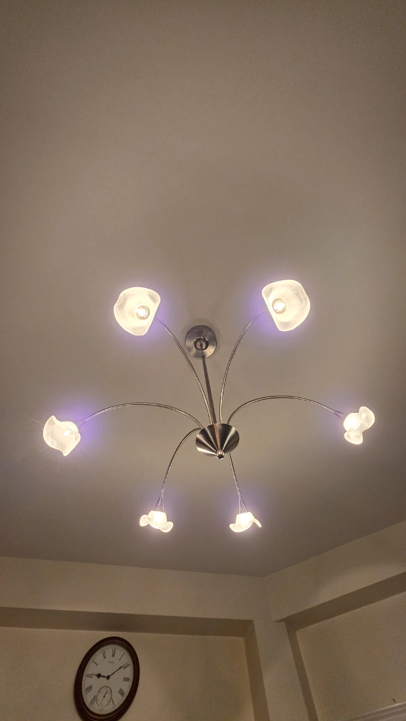 6-Light Chandelier Ceiling Light Fixture - photo 2