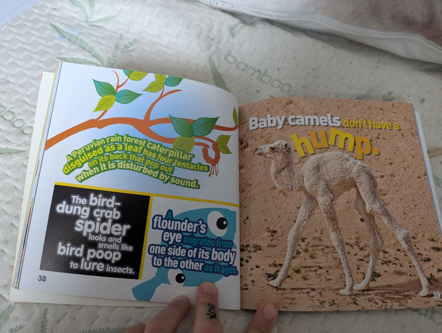 National Geographic Kids Weird But True! Animals Book - photo 5