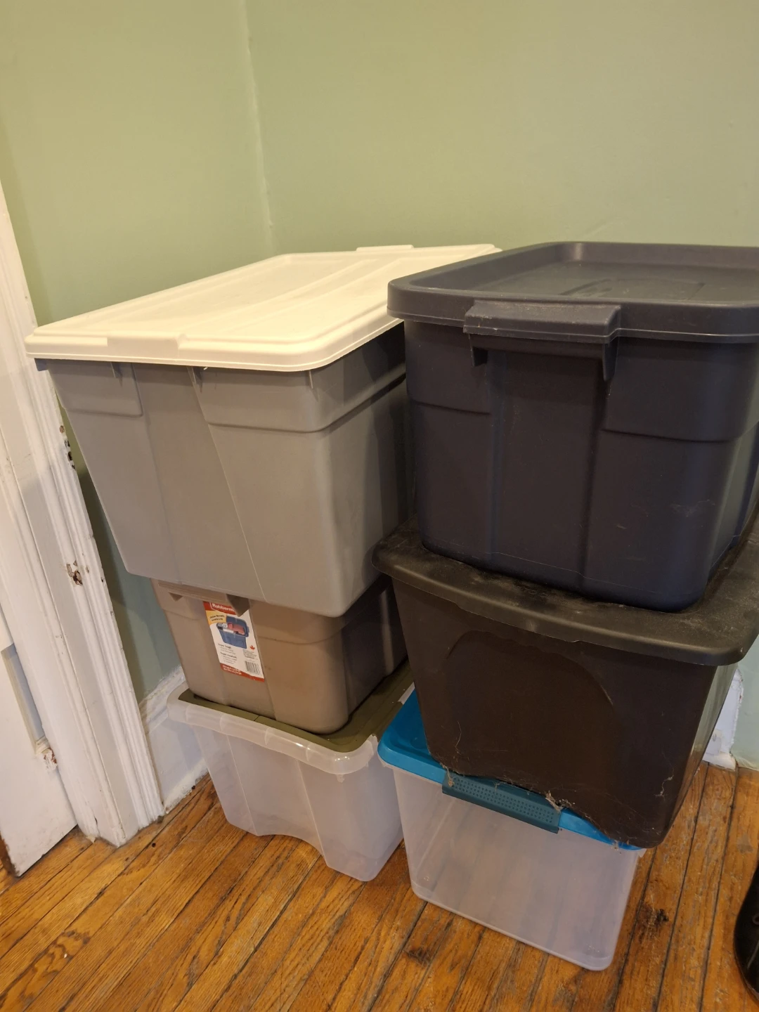 Lot of 6 Storage Totes with Lids