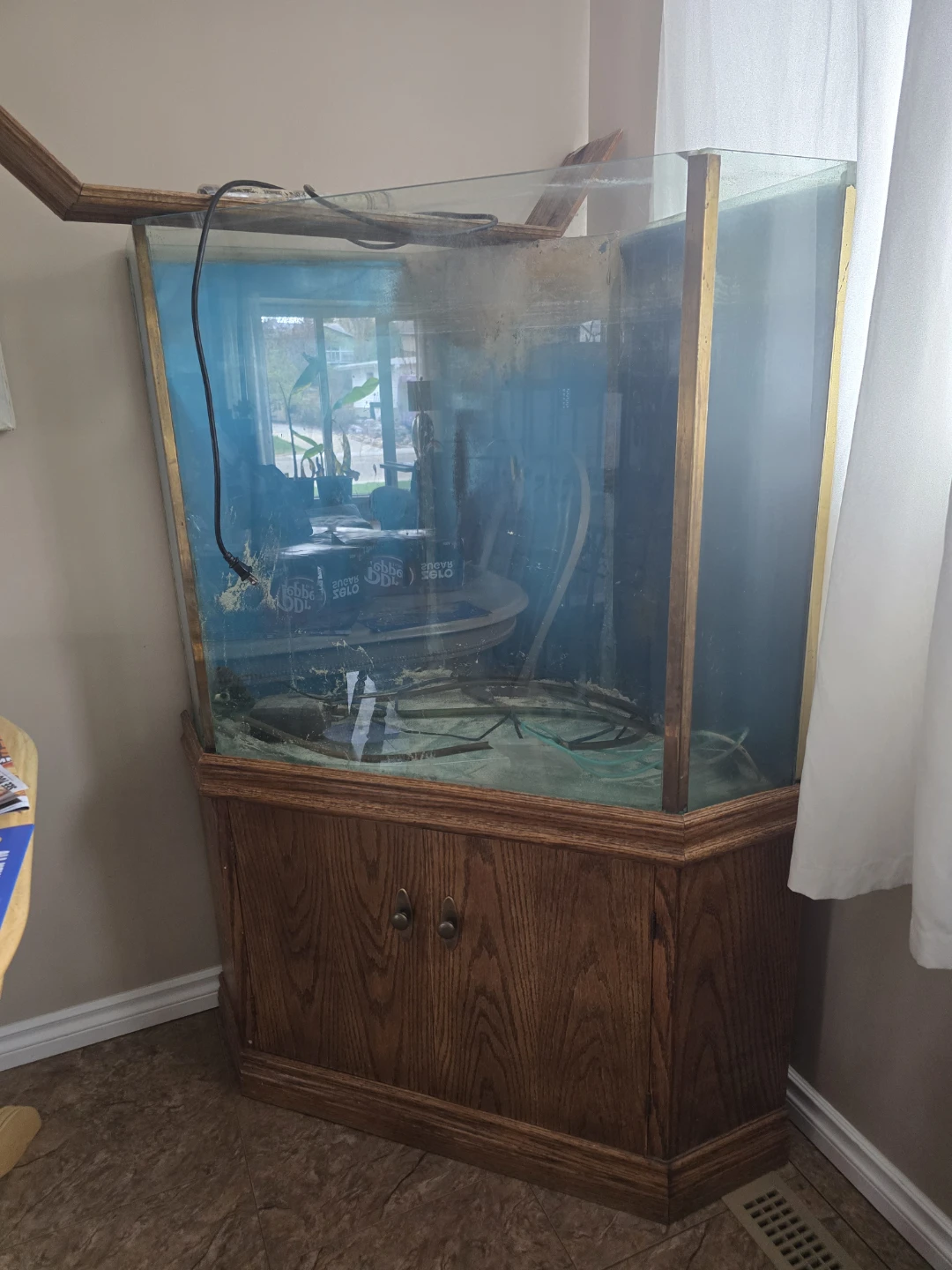 Corner Aquarium with Oak Stand large open trades