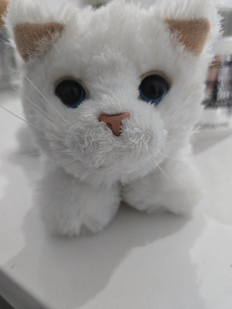 White Plush Cat Stuffed Animal - photo 3