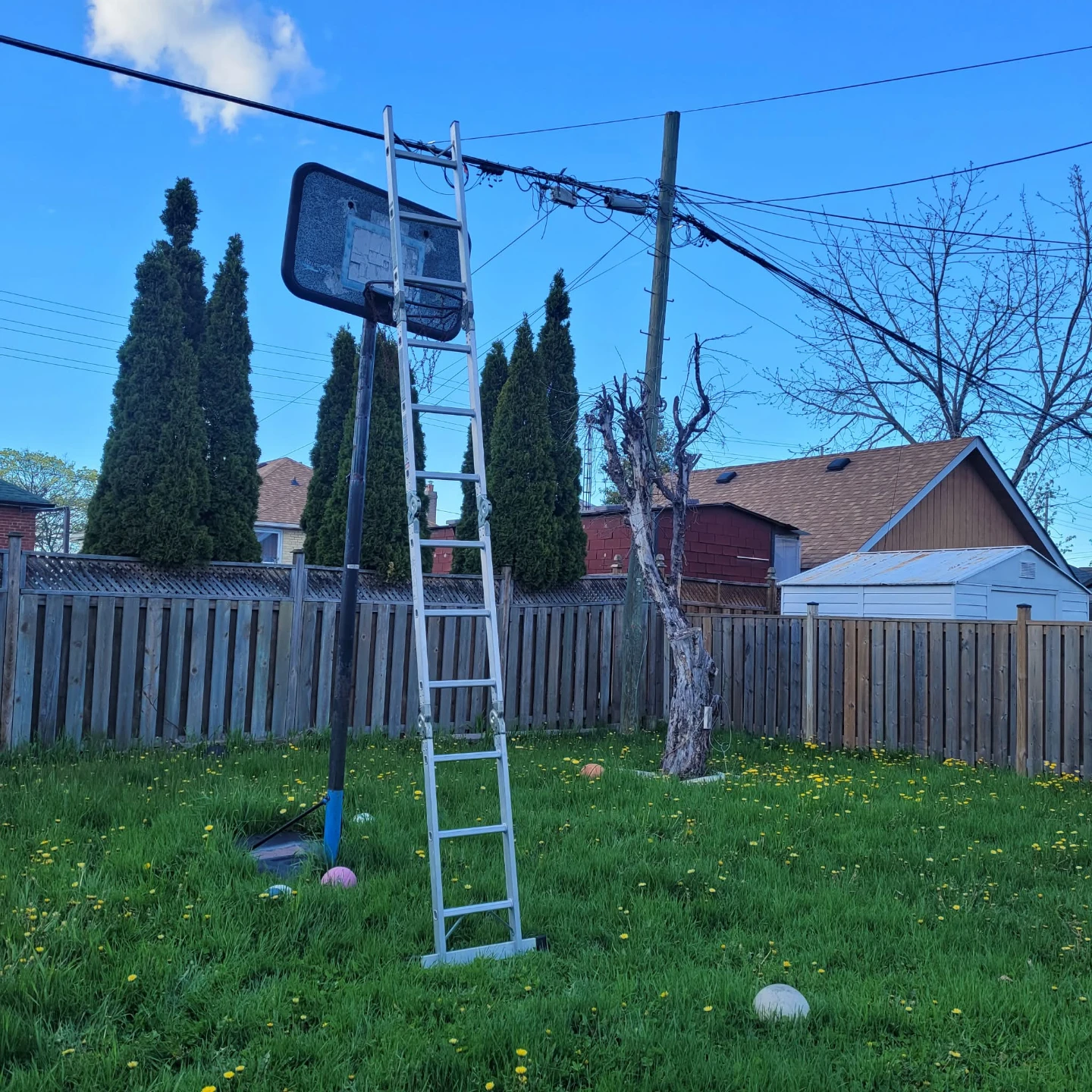 12ft Multi-Purpose Folding Ladder - photo 2
