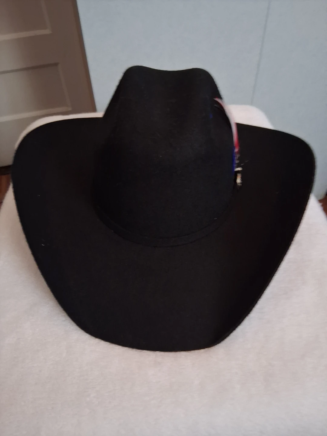 Black Cowboy Hat with Feather Accent