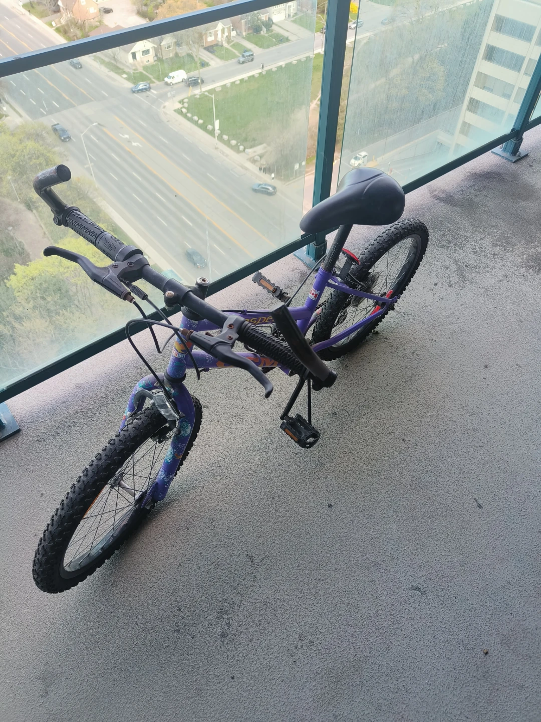 Purple Kids' Bicycle