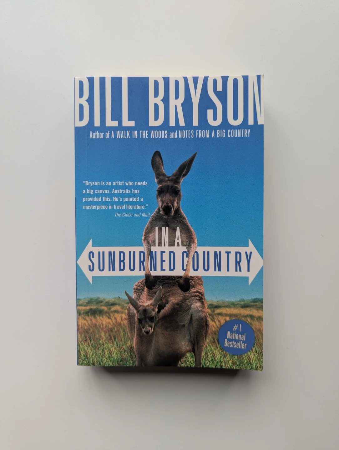 Assorted fiction books — adult/general, middle-grade, children's - photo 3