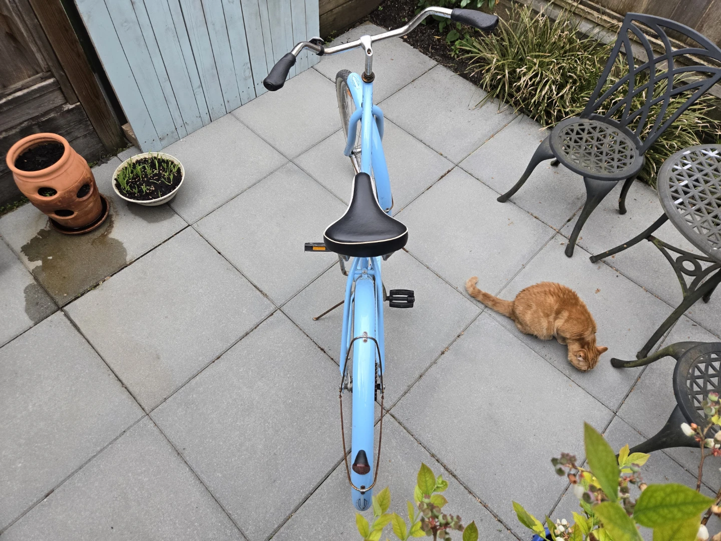 Blue "Classic" Cruiser Bicycle