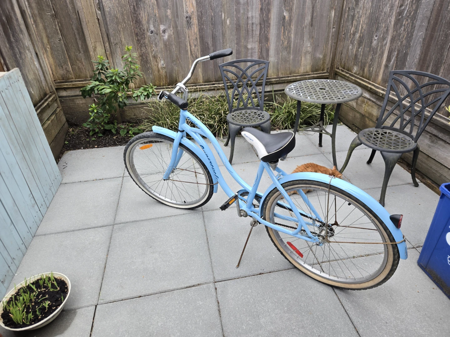 Blue "Classic" Cruiser Bicycle - photo 2