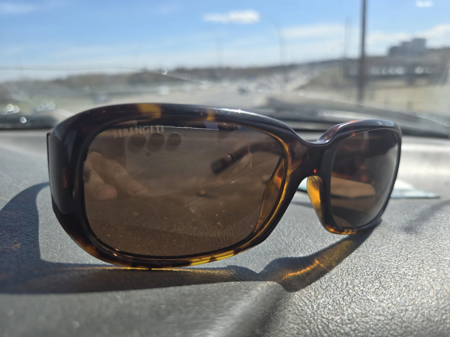 Serengeti Sunglasses
