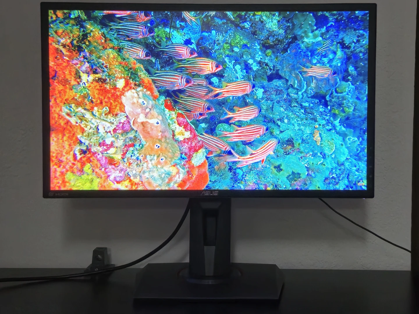 ASUS 24" 1080p 144hz - photo 2