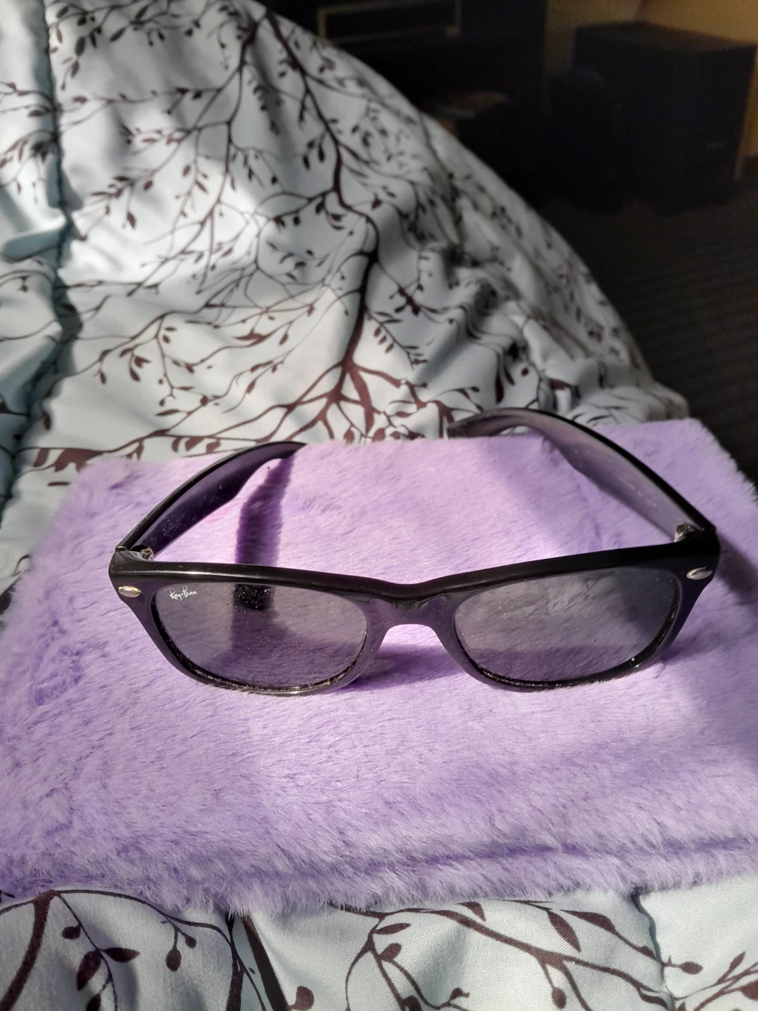 Ray-Ban Wayfarer Sunglasses