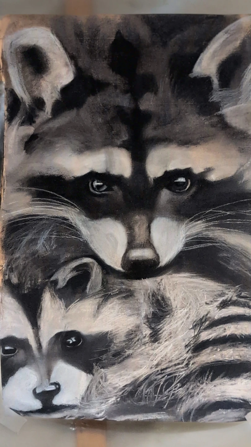 Raccoon Art Print