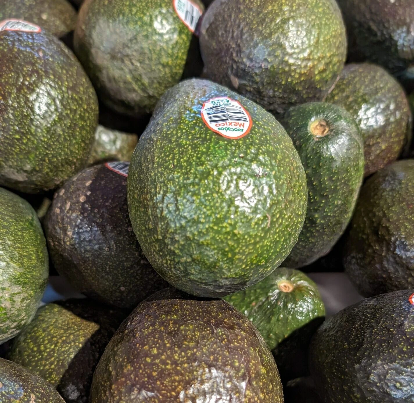 Avocados from Mexico