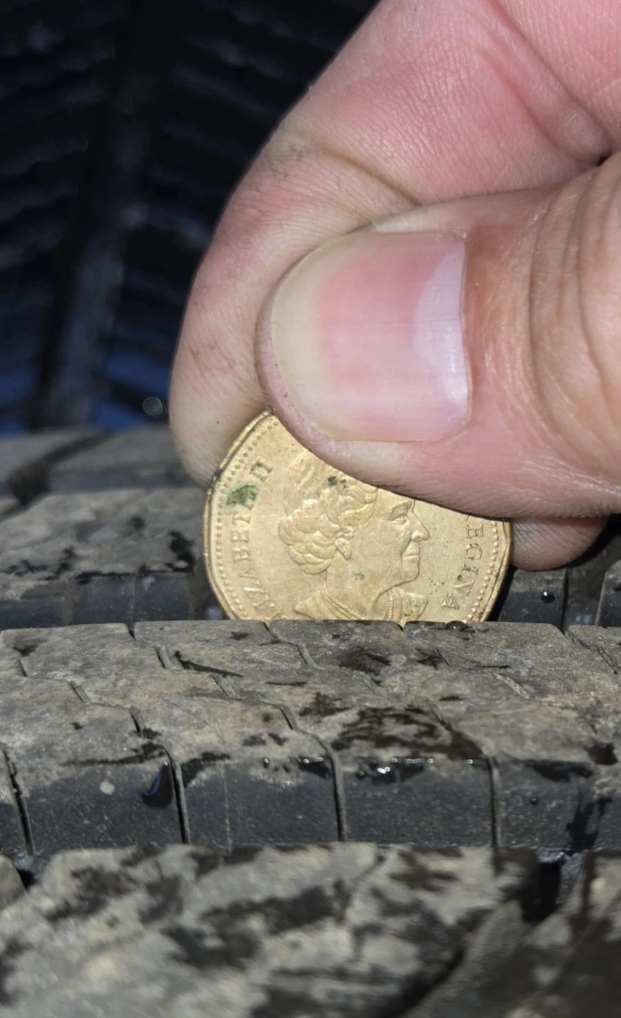 Michelin Tire P225/65R17 - photo 3