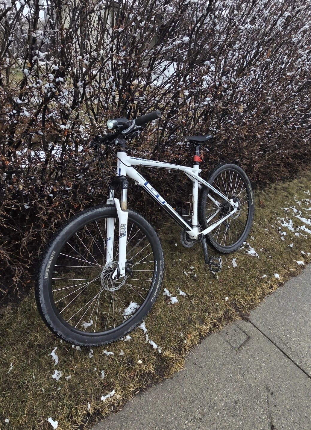 GT Timberline 2014