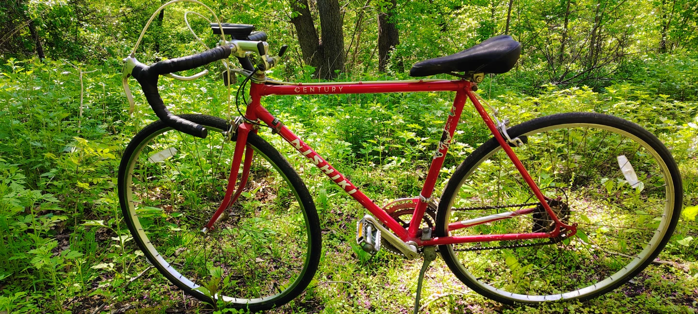 Nishiki Road Bike - photo 4