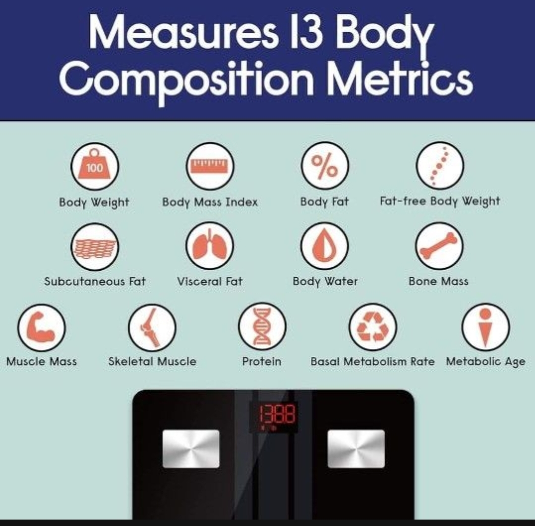 EnerPlex Body Composition Smart Scale - photo 5