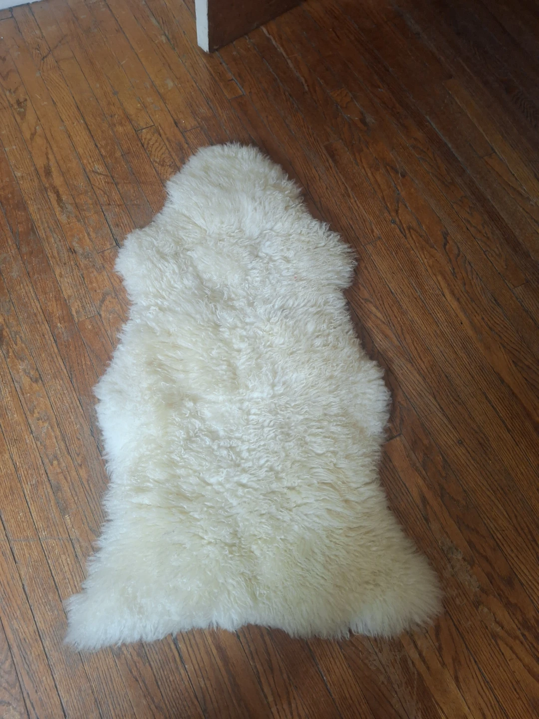 Cream Sheepskin Rug