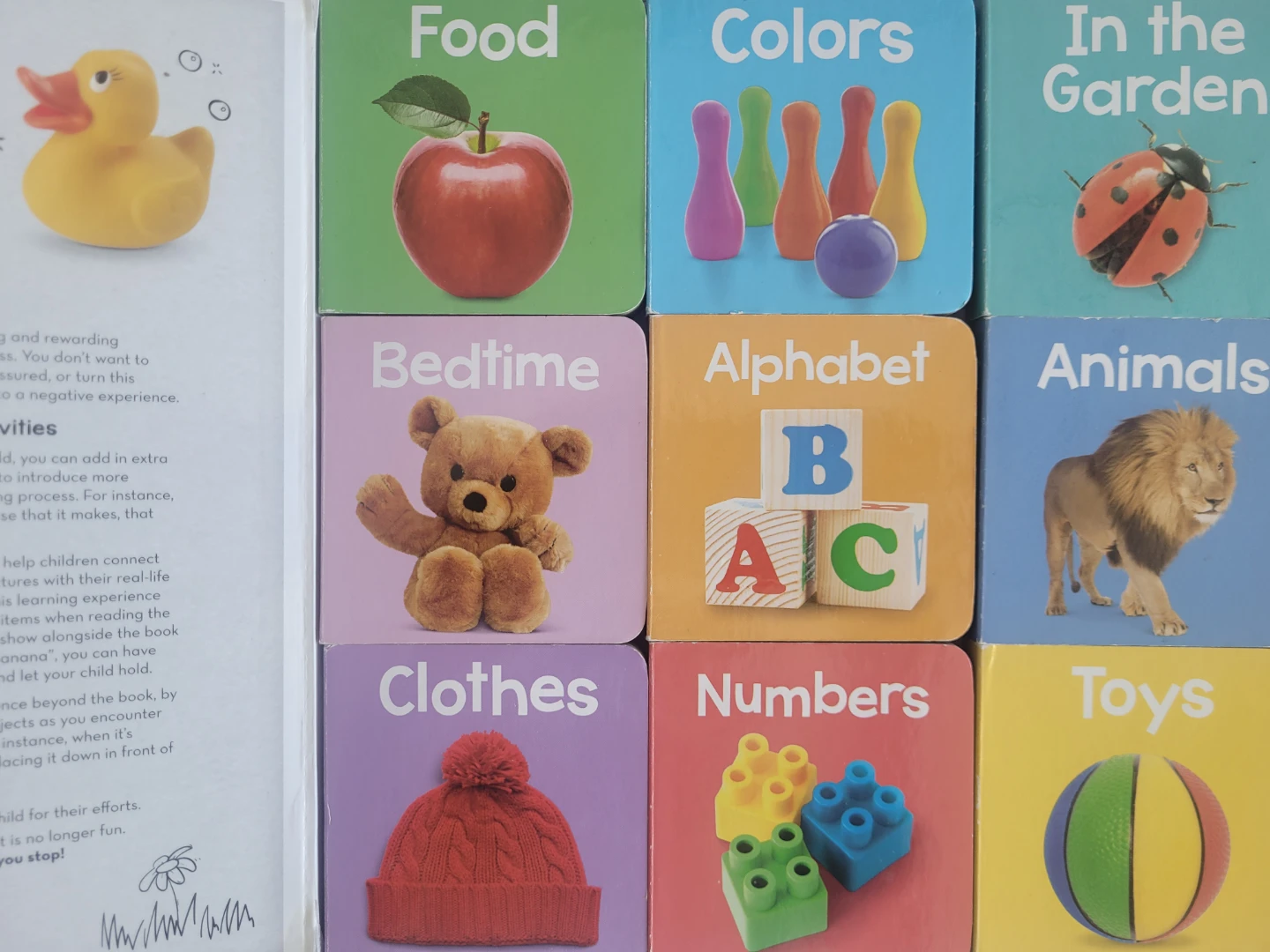 20 Assorted Children's Board Books - photo 4