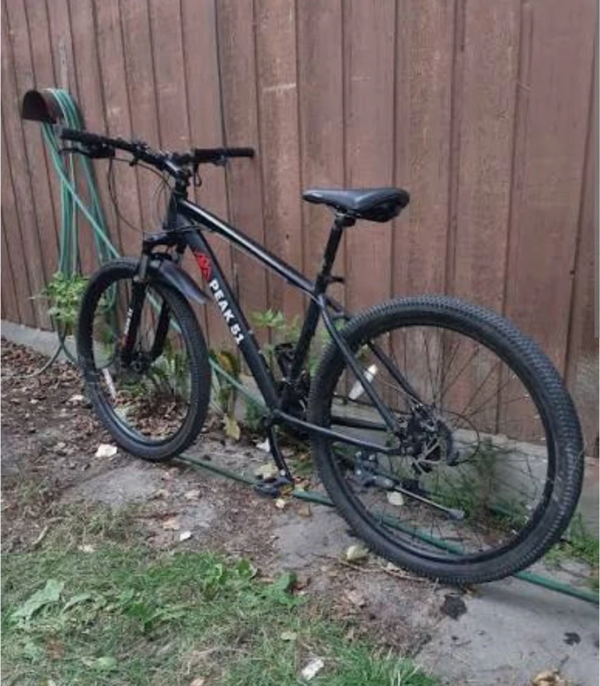 Peak 51 Mountain Bike