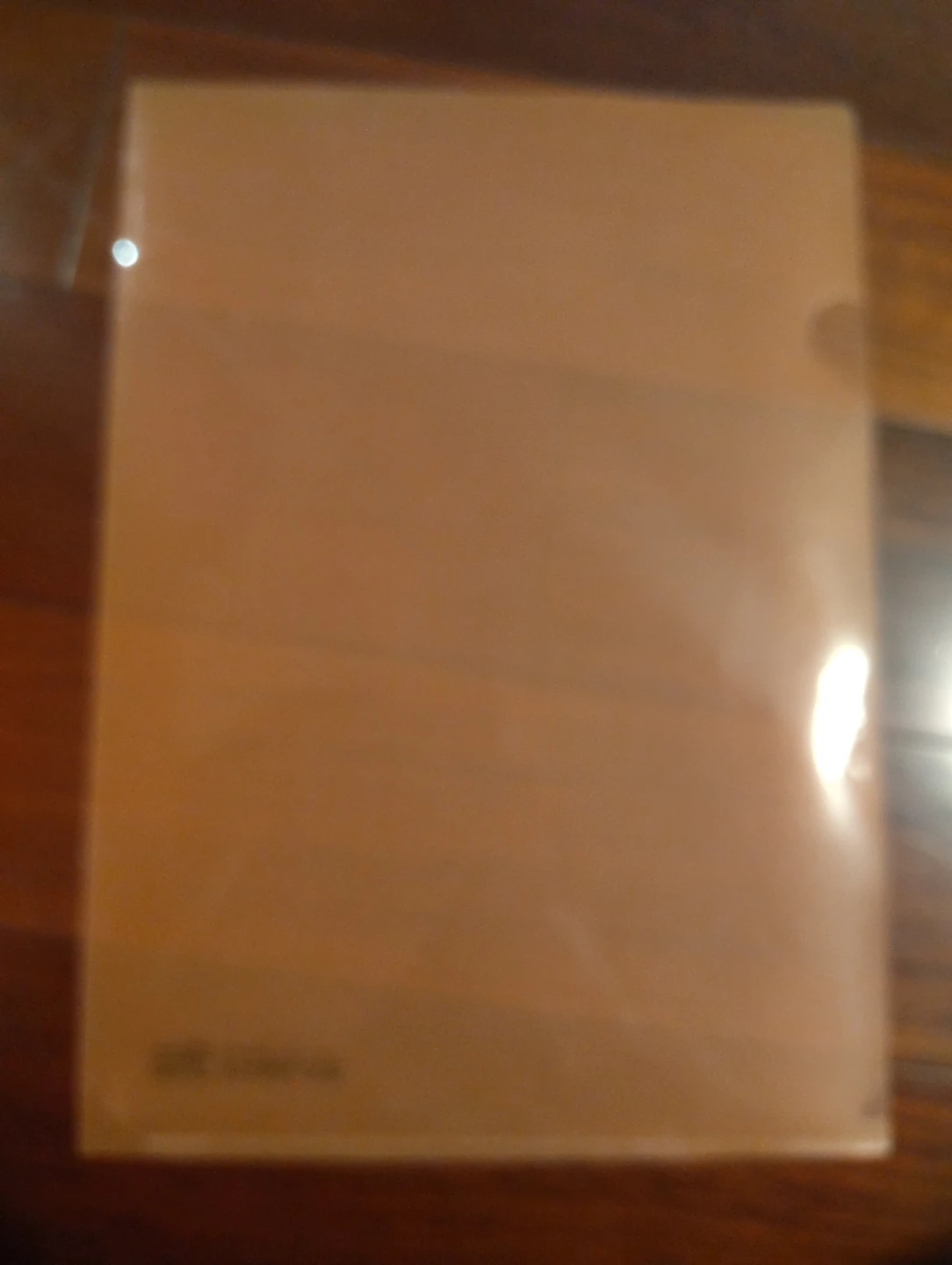 Clear Plastic Document Folder - photo 2